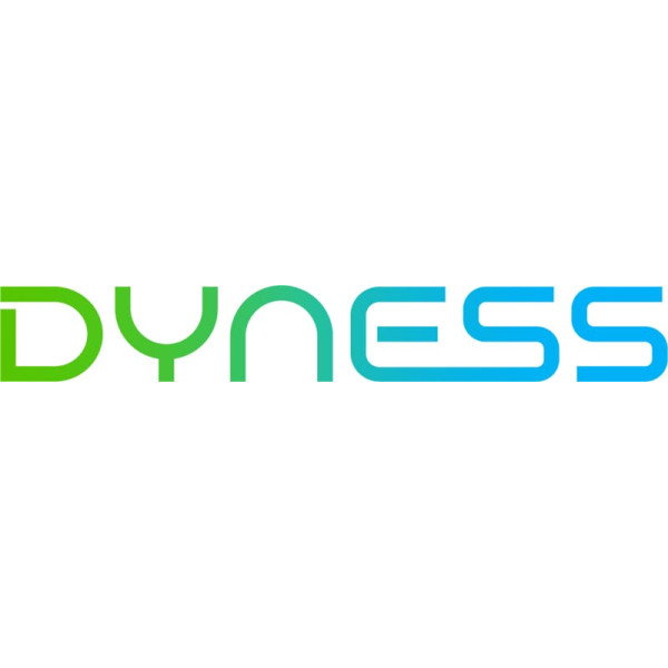 Dyness